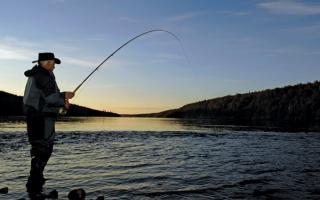 Рыбалка на Оке – где, что и как ловить ночью Снасти для ночной рыбалки